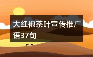 大紅袍茶葉宣傳推廣語(yǔ)37句