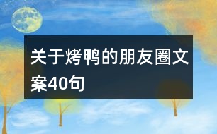 關(guān)于烤鴨的朋友圈文案40句