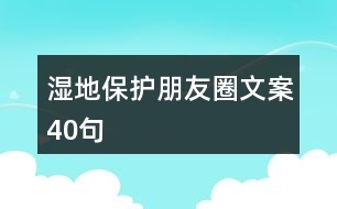 濕地保護朋友圈文案40句