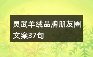 靈武羊絨品牌朋友圈文案37句