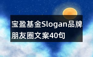 寶盈基金Slogan品牌朋友圈文案40句