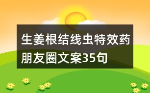 生姜根結(jié)線蟲特效藥朋友圈文案35句