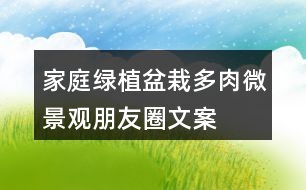 家庭綠植盆栽、多肉、微景觀朋友圈文案40句