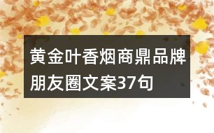 黃金葉香煙商鼎品牌朋友圈文案37句