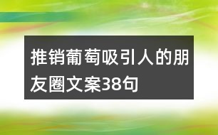 推銷葡萄吸引人的朋友圈文案38句