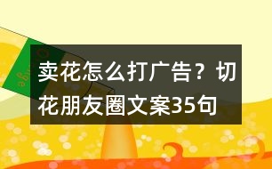 賣花怎么打廣告？切花朋友圈文案35句