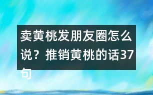 賣黃桃發(fā)朋友圈怎么說？推銷黃桃的話37句