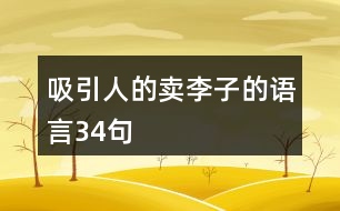 吸引人的賣李子的語言34句