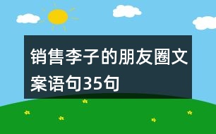 銷售李子的朋友圈文案語句35句