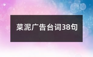 菜泥廣告臺詞38句