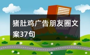 豬肚雞廣告朋友圈文案37句