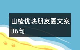 山楂優(yōu)塊朋友圈文案36句