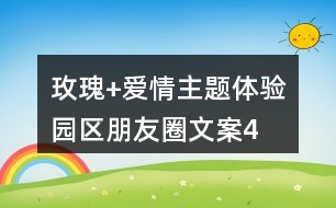 “玫瑰+愛情”主題體驗園區(qū)朋友圈文案40句