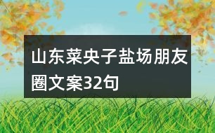 山東菜央子鹽場(chǎng)朋友圈文案32句