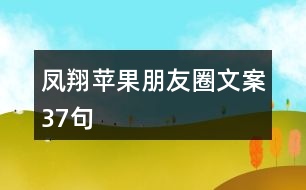 鳳翔蘋果朋友圈文案37句