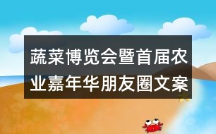 蔬菜博覽會(huì)暨首屆農(nóng)業(yè)嘉年華朋友圈文案35句