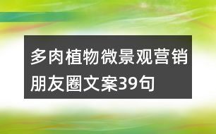 多肉植物微景觀營(yíng)銷朋友圈文案39句