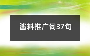 醬料推廣詞37句