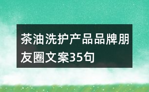 茶油洗護(hù)產(chǎn)品品牌朋友圈文案35句