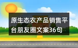 原生態(tài)農(nóng)產(chǎn)品銷售平臺朋友圈文案36句