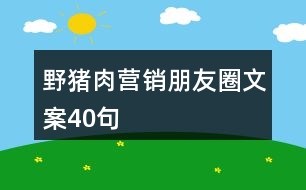 野豬肉營銷朋友圈文案40句