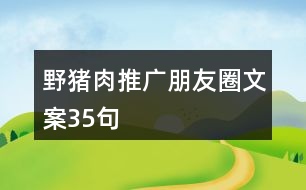 野豬肉推廣朋友圈文案35句