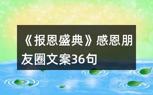 《報恩盛典》感恩朋友圈文案36句