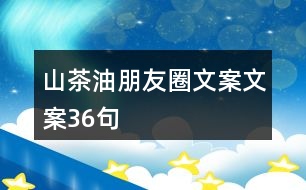 山茶油朋友圈文案文案36句