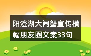 陽(yáng)澄湖大閘蟹宣傳橫幅朋友圈文案33句