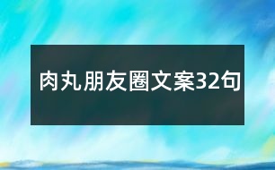 肉丸朋友圈文案32句