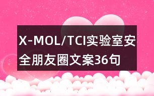 X-MOL/TCI實(shí)驗(yàn)室安全朋友圈文案36句