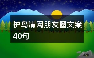 “護鳥清網”朋友圈文案40句