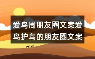 愛(ài)鳥(niǎo)周朋友圈文案：愛(ài)鳥(niǎo)護(hù)鳥(niǎo)的朋友圈文案38句