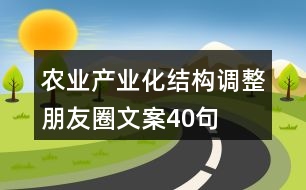 農(nóng)業(yè)產(chǎn)業(yè)化結(jié)構(gòu)調(diào)整朋友圈文案40句