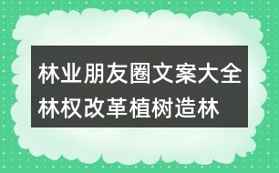 林業(yè)朋友圈文案大全：林權(quán)改革、植樹造林朋友圈文案36句