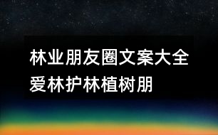 林業(yè)朋友圈文案大全：愛林、護林、植樹朋友圈文案40句