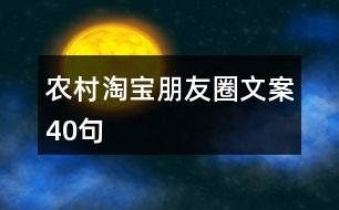 “農(nóng)村淘寶”朋友圈文案40句