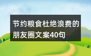 節(jié)約糧食杜絕浪費(fèi)的朋友圈文案40句