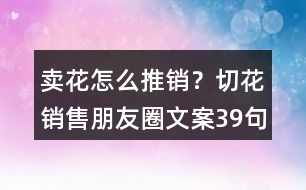 賣花怎么推銷？切花銷售朋友圈文案39句