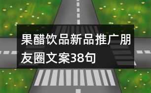 果醋飲品新品推廣朋友圈文案38句