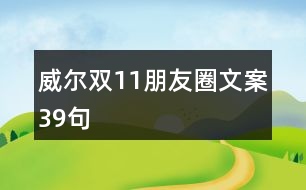 威爾雙11朋友圈文案39句