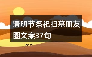 清明節(jié)祭祀、掃墓朋友圈文案37句