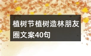 植樹節(jié)、植樹造林朋友圈文案40句