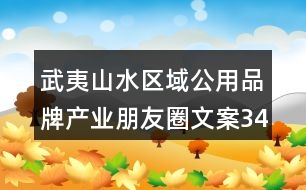 武夷山水區(qū)域公用品牌產(chǎn)業(yè)朋友圈文案34句