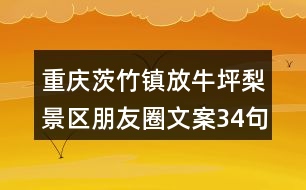 重慶茨竹鎮(zhèn)放牛坪梨景區(qū)朋友圈文案34句