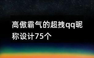 高傲霸氣的超拽qq昵稱設(shè)計(jì)75個(gè)