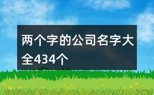 兩個(gè)字的公司名字大全434個(gè)