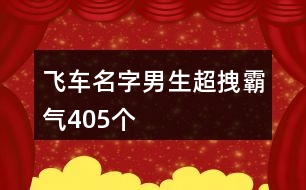 飛車名字男生超拽霸氣405個(gè)