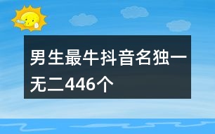 男生最牛抖音名獨(dú)一無二446個