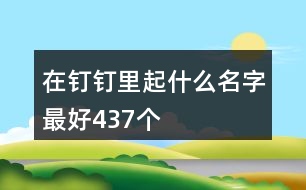 在釘釘里起什么名字最好437個(gè)